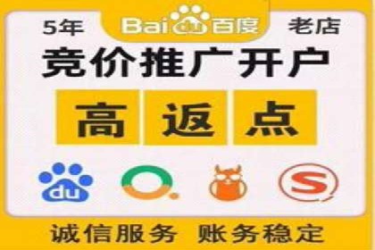 百度推广服务费案例分析：成功背后的秘密